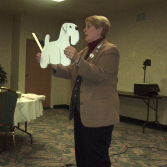 Terrier Seminar 2002
